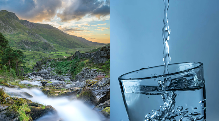 Spring Water vs Filtered Water: What’s the Difference?